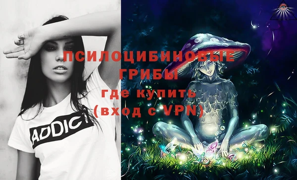 ALPHA-PVP Новозыбков